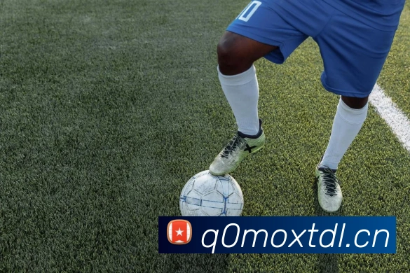 米兰app入口发展历程